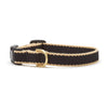 Up Country Color Market Dog Collar - Small Breed