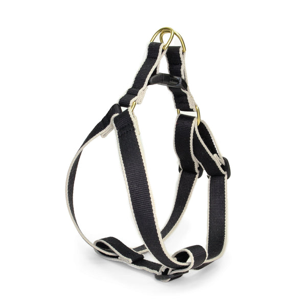 Up Country Color Market Dog Harness
