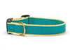 Up Country Color Market Dog Collar - Narrow (5/8")