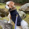 Up Country Gridlock Small Breed Dog Collar