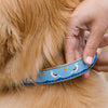 Up Country Gull Watch Martingale Dog Collar