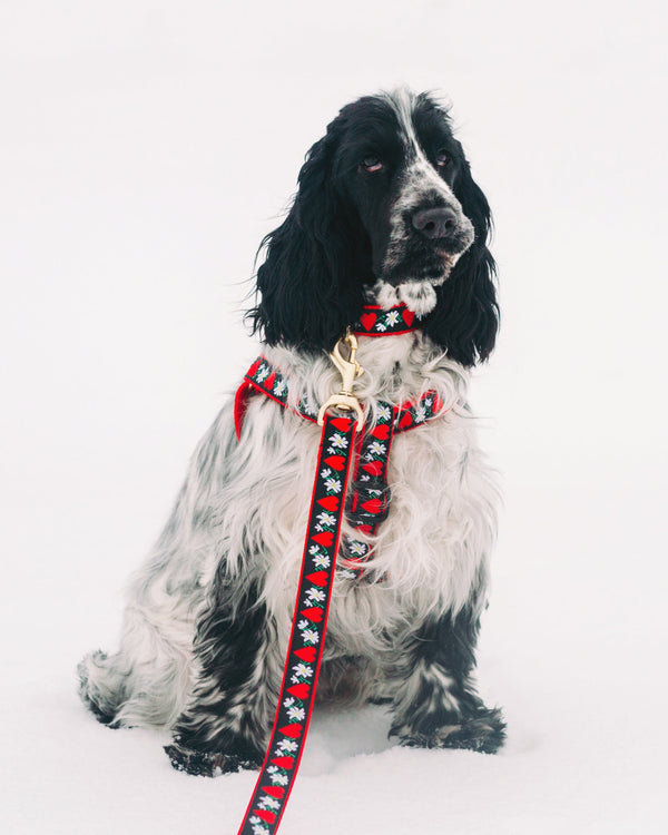 Up Country Hearts and Flowers Dog Collar