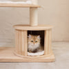 Happy & Polly Oyal Crown Cat Tree