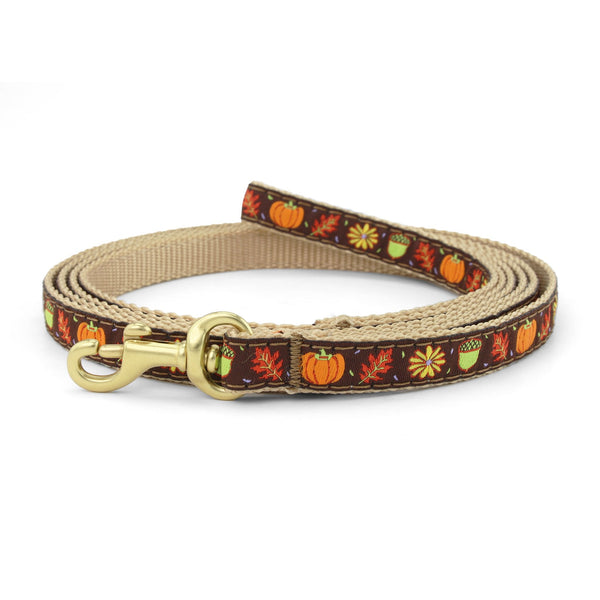 Up Country Harvest Time Small Breed Dog Lead