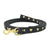 Up Country Heart of Gold Small Breed Dog Lead
