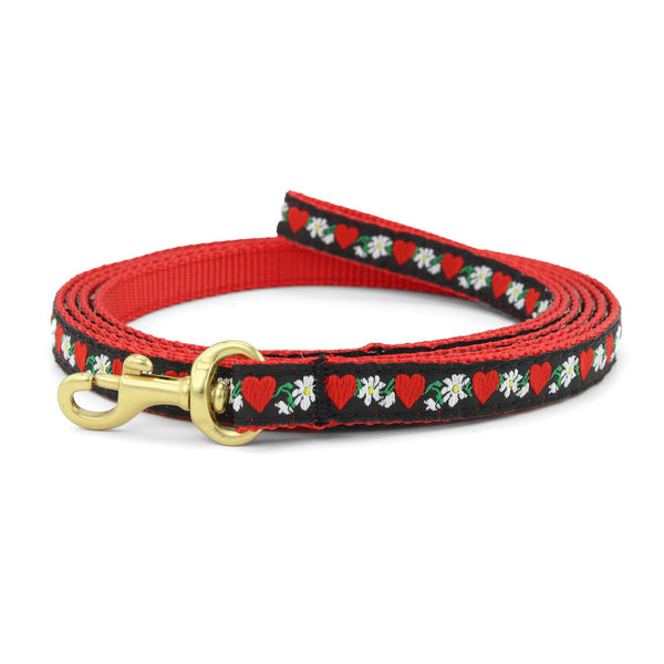 Up Country Hearts and Flowers Small Breed Dog Lead