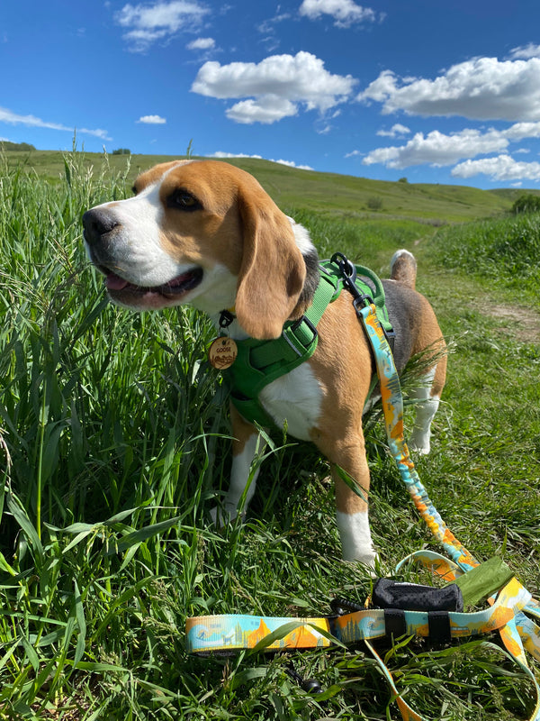 Rocky Mountain Dog The Bugaboo Poo Bag Dispenser