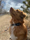 Rocky Mountain Dog AirTag Holder