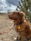 Rocky Mountain Dog AirTag Keychain Holder