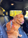 Rocky Mountain Dog Carsafe Dog Seatbelt Carabiner Restraint