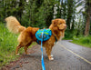 Rocky Mountain Dog Mountaineer Dog Backpack & Stand-Alone Harness