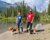 Rocky Mountain Dog Men's Dog Walking T-Shirt