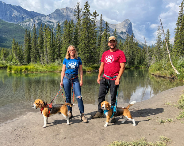 Rocky Mountain Dog Men's Dog Walking T-Shirt