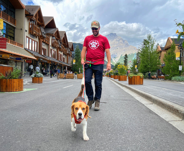 Rocky Mountain Dog Men's Dog Walking T-Shirt