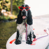 Up Country Anchors Aweigh Dog Collar