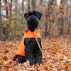 Up Country Orange Field Coat