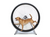 GoPet Medium-Large Breed Dog Treadwheel
