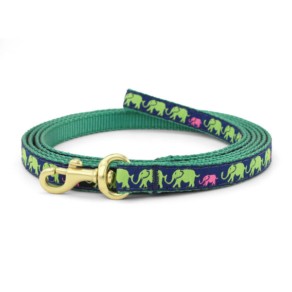 Up Country Leader of the Pach Small Breed Dog Lead