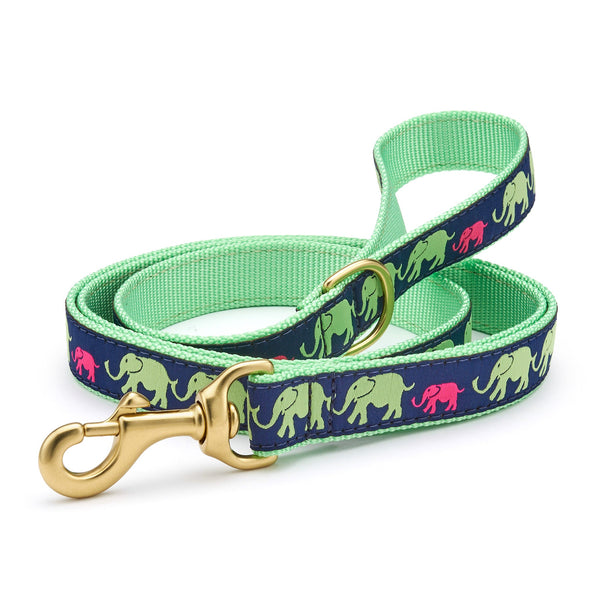 Up Country Leader of the Pach Dog Lead