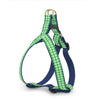 Up Country Lime Gingham Dog Harness