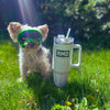 Rocky Mountain Dog Adventure Quencher (40oz/1.18L)