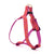 Up Country Love Dog Harness
