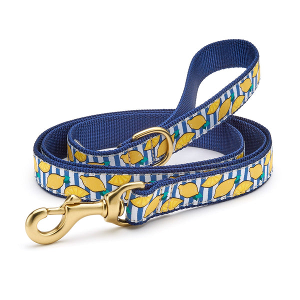 Up Country Make Lemonade Dog Lead