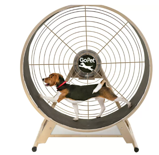 GoPet Small-Medium Breed Dog Treadwheel
