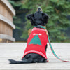 Up Country Merry Christmas Dog Collar
