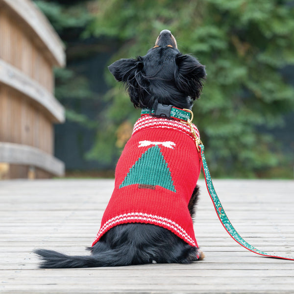 Up Country Merry Christmas Dog Collar