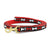 Up Country No Bones About It Small Breed Dog Lead