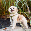 Up Country Nuts Dog Harness