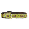 Up Country Nuts Small Breed Dog Collar