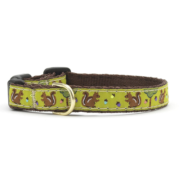 Up Country Nuts Small Breed Dog Collar