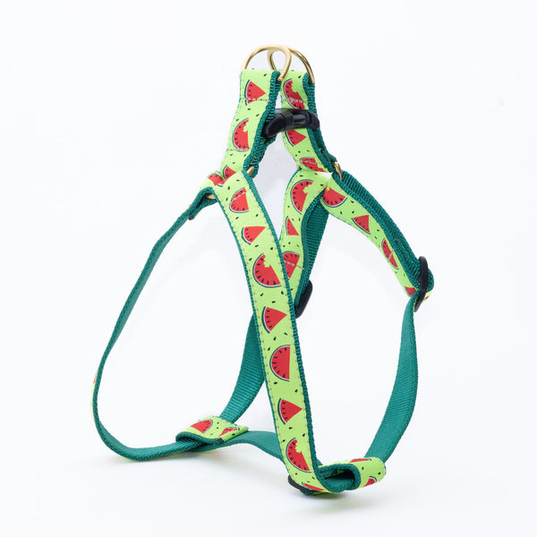 Up Country One in a Melon Dog Harness