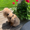 Up Country Orange You Pretty Dog Harness
