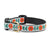 Up Country Orange You Pretty Dog Collar