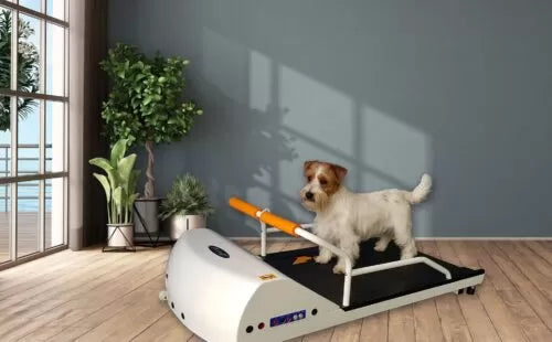 GoPet Toy Breed Dog Treadmill