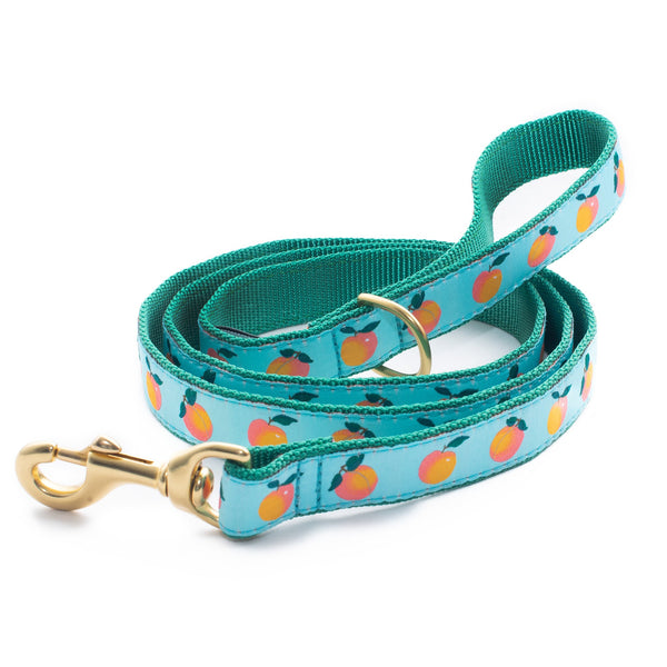 Up Country Peachy Dog Lead