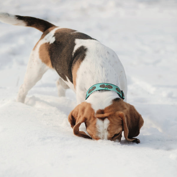 Up Country Pinecones Dog Collar