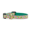 Up Country Pink Palms Small Breed Dog Collar