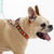 Up Country Pumpkin Spice Printed Dog Collar - Brown