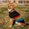 Up Country Rainbones Sweater