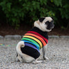 Up Country Rainbones Sweater