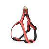 Up Country Red Gingham Small Breed Dog Harness