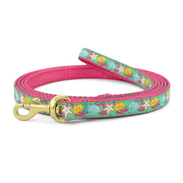 Up Country Reef Small Breed Dog Lead