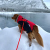 Rocky Mountain Dog Glacier Insulated Dog Parka (Winter Coat)