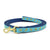 Up Country Sea Turtle Small Breed Dog Lead