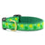 Up Country Shamrock Dog Collar