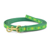 Up Country Shamrock Small Breed Dog Lead